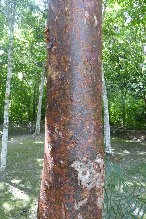 P1030080