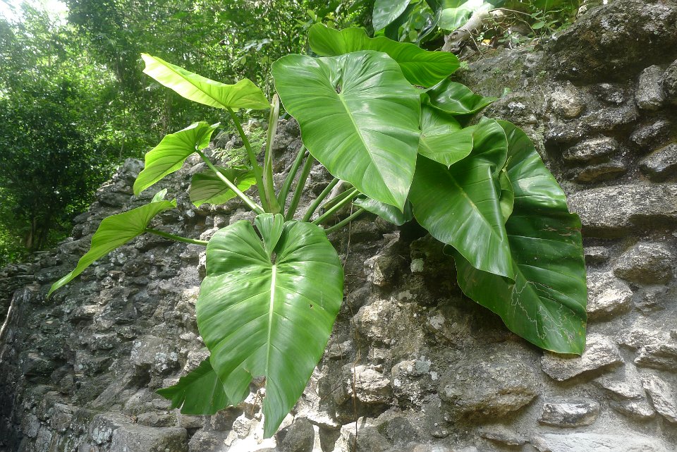 P1240635