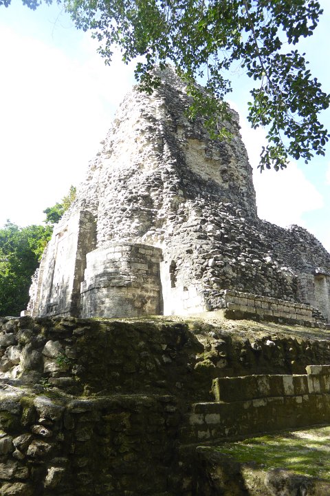 P1030113