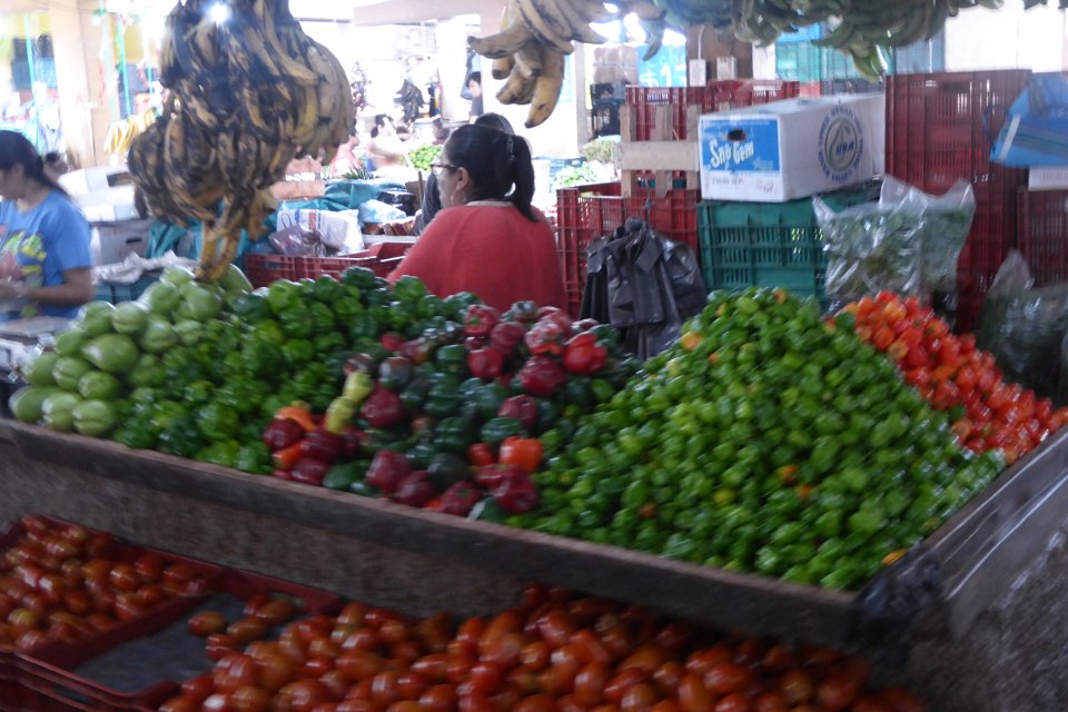 P1030153
