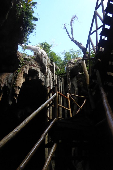 P1030523