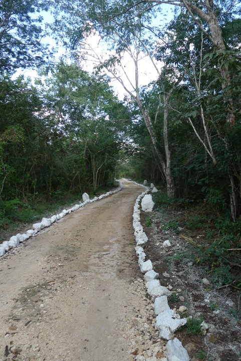 P1250022
