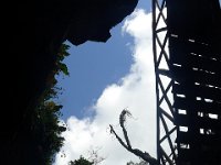 P1250001