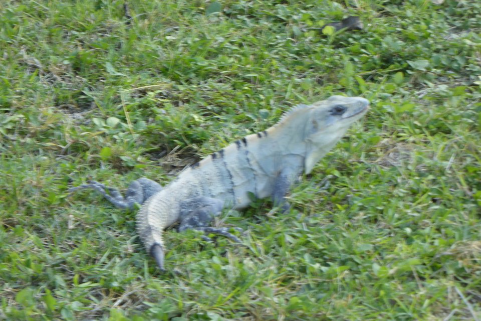 P1030285