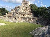 IMG 4161