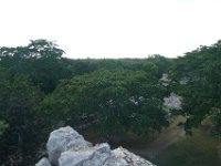 P1240823