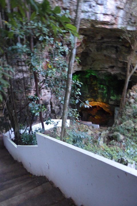 P1030313