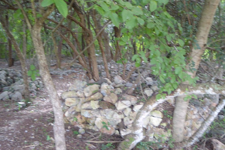 P1030467