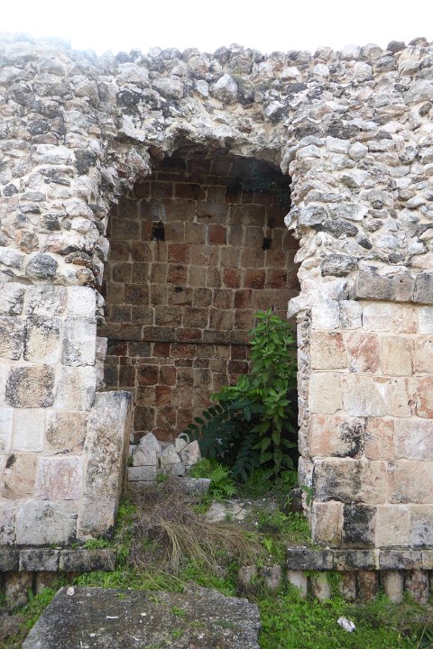 P1030479