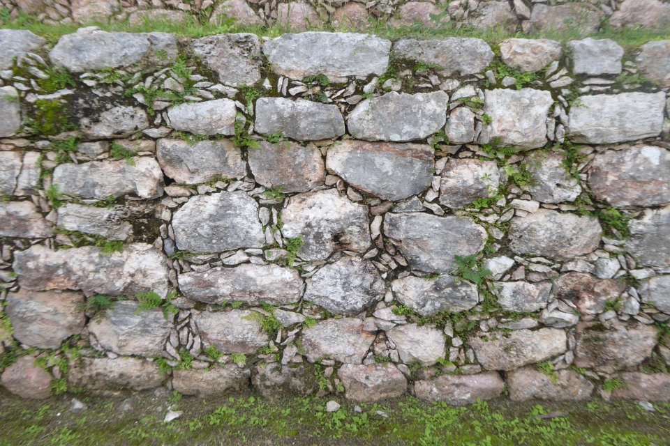 P1030505