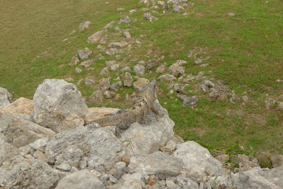 P1240987