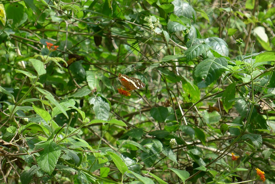 P1240997