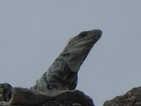 P1030471