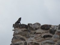 P1030475