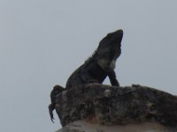 P1030476