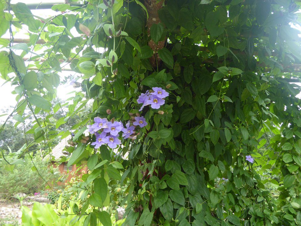 P1030340