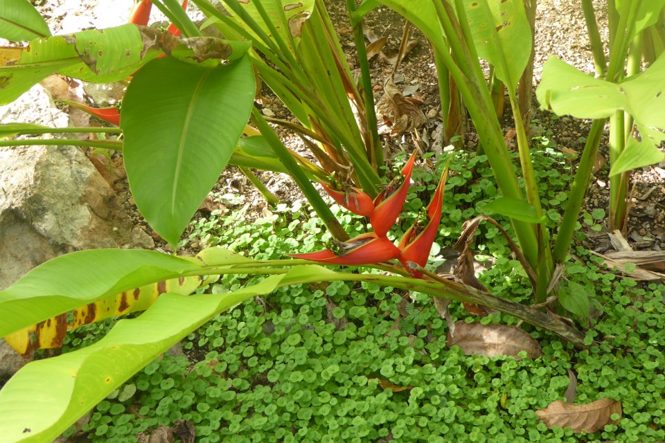 P1030342
