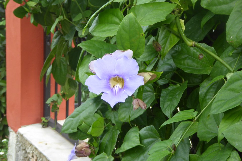 P1030343