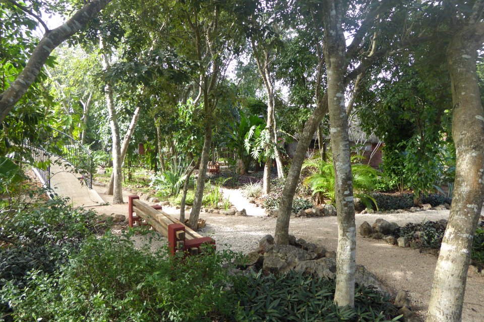 P1030344