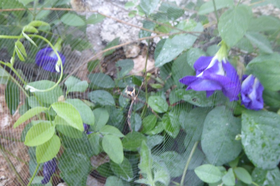 P1030417