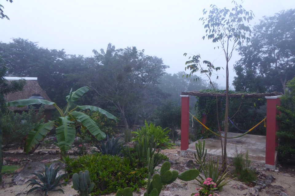 P1030418