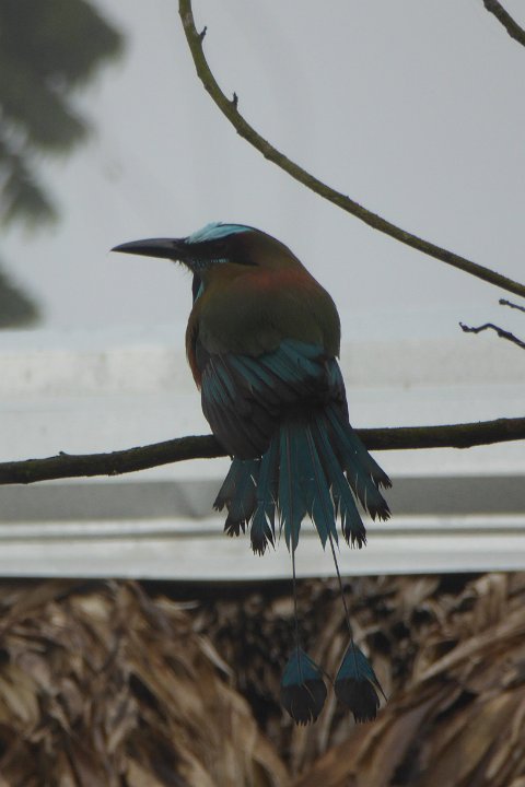 P1030437