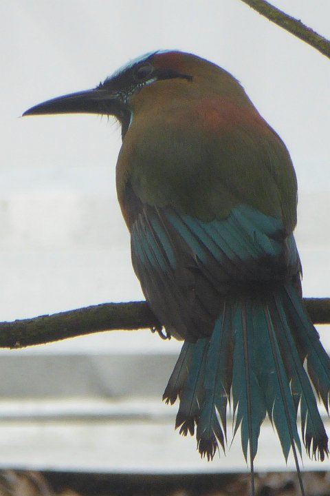 P1030439