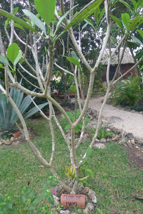 P1240860