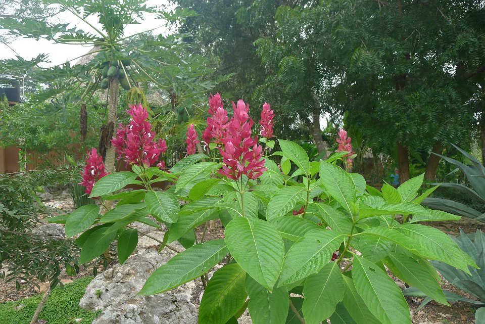 P1240867
