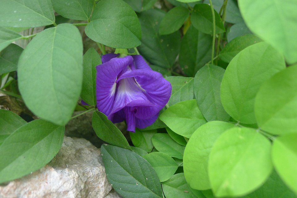 P1240875