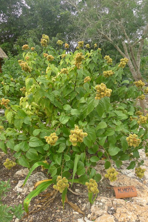 P1240880