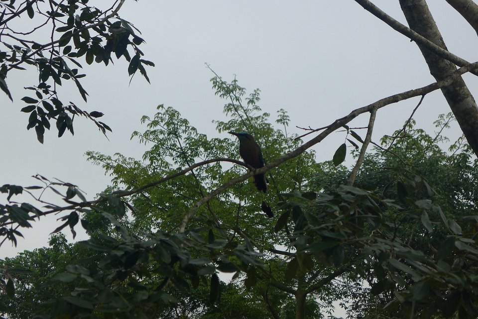 P1240882