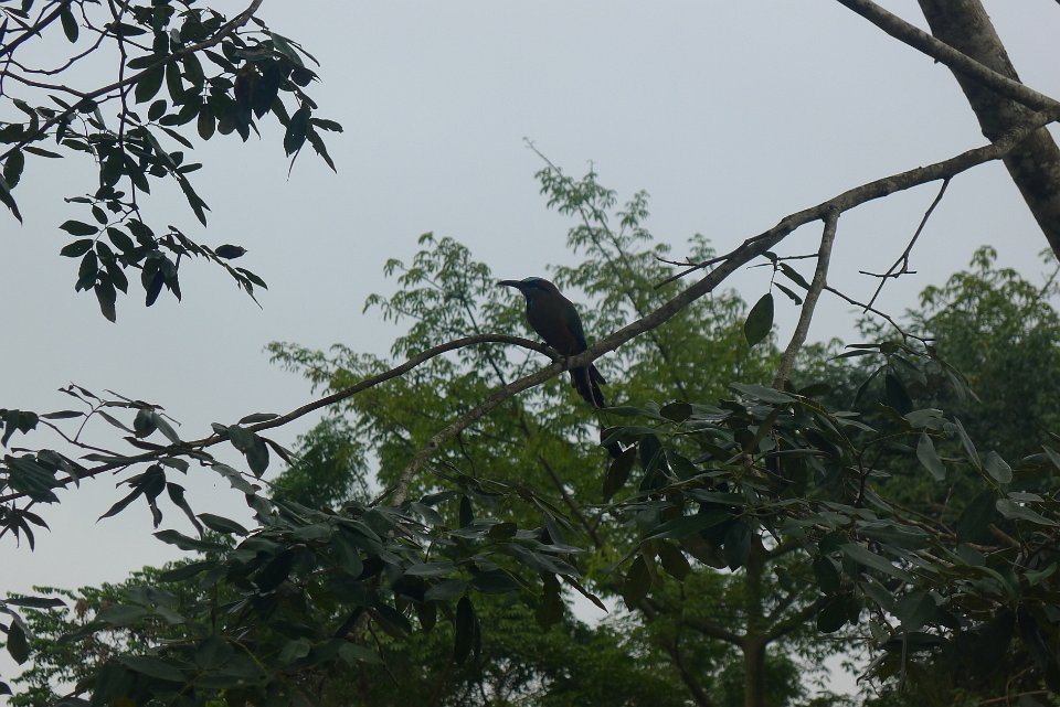 P1240883