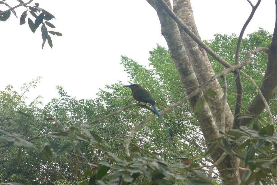 P1240885