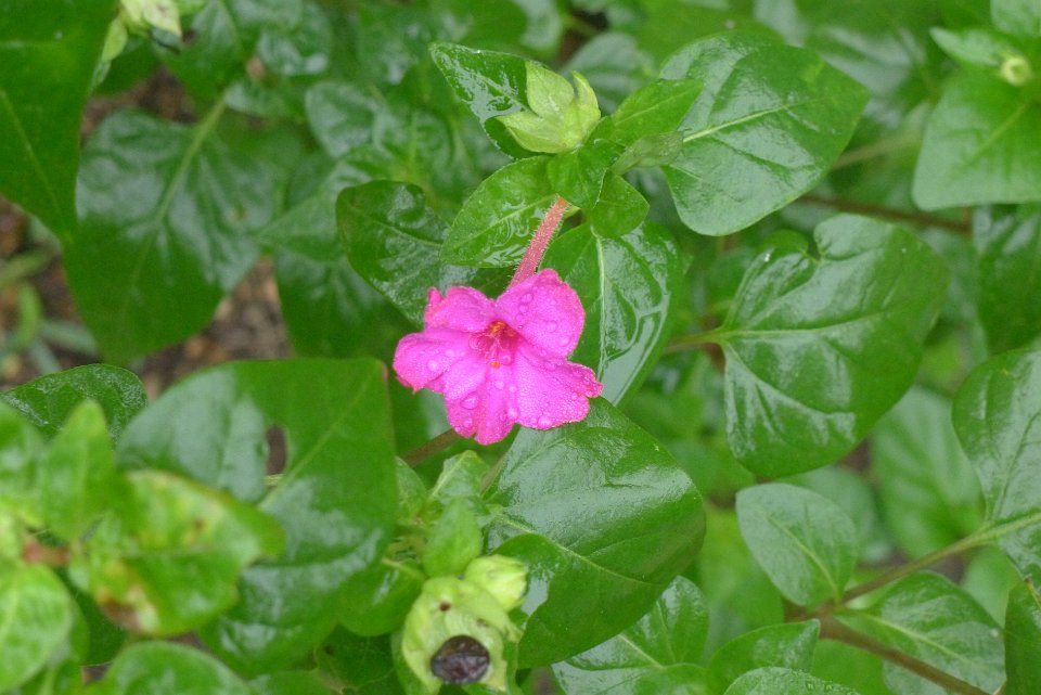 P1240964