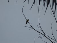 P1030428