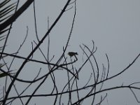 P1030430