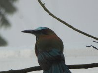 P1030437