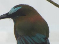 P1030438