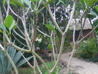 P1240860