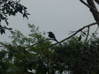 P1240884