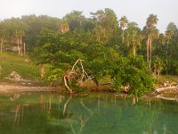 DSCN4840.JPG