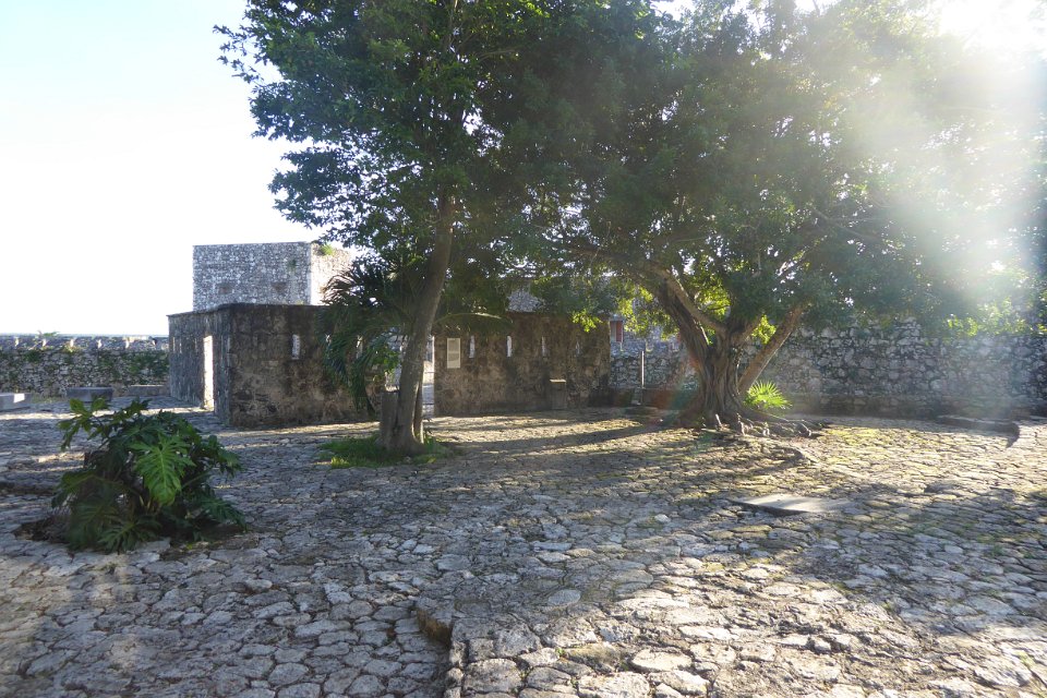 P1020965