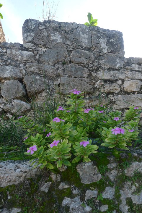P1240597