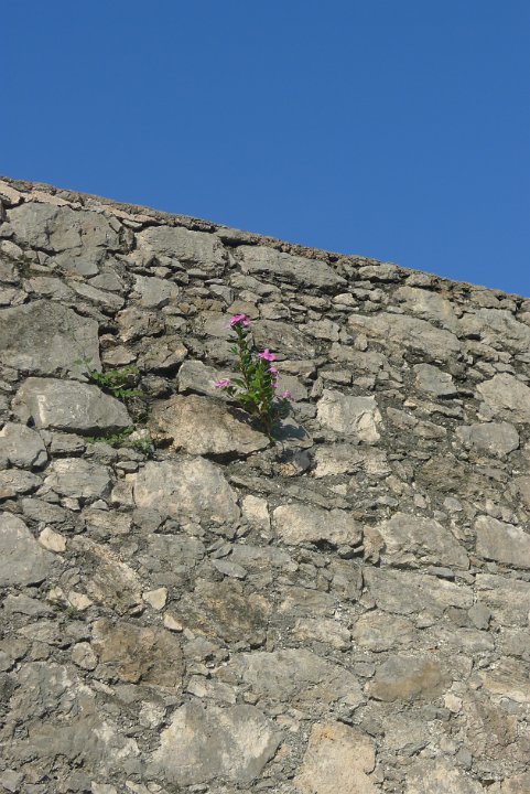 P1240600