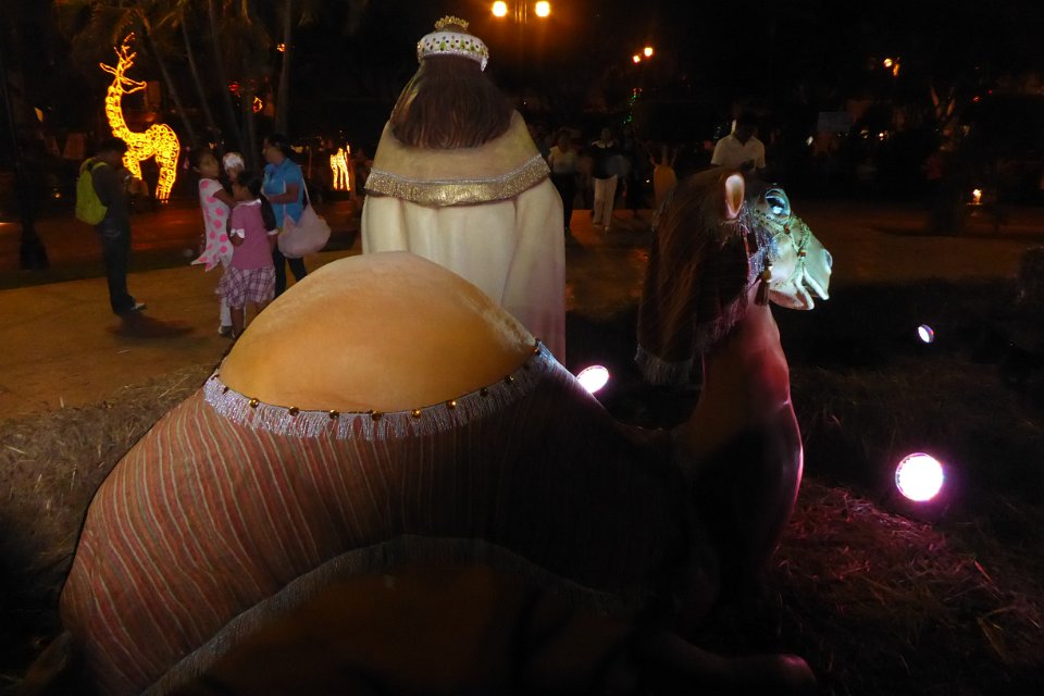 P1030540