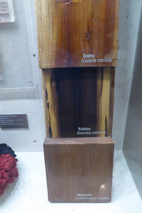 P1030575