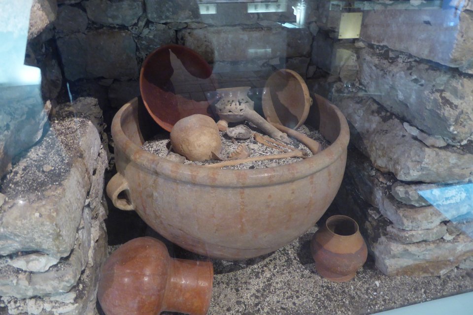 P1030578