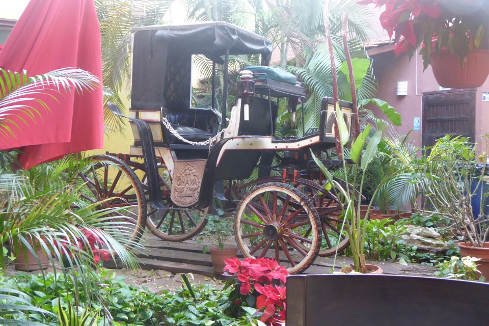 P1030641
