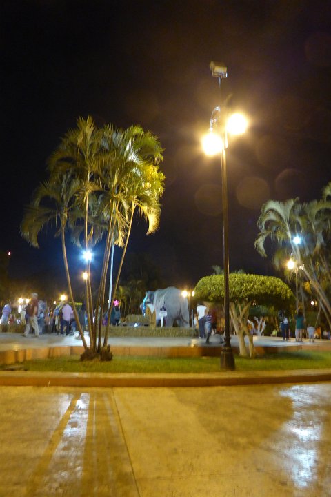 P1030676
